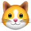 Katt emoji U+1F431