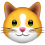 Kattansikte U+1F431