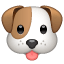 Hund emoji U+1F436