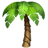 palm