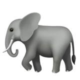 Elefant