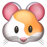 Hamsteransikte