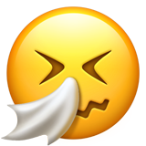 Nysande ansikte emoji